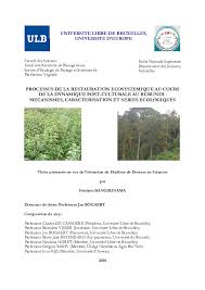 Image result for Pseudoeriosema borianii