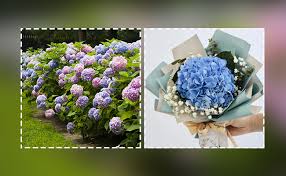 Check spelling or type a new query. Wish Them Well With These Get Well Soon Flowers