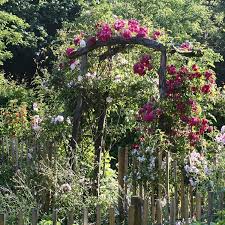 Pin On Garten