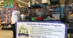 For a limited time only, we are only. San Antonio Feral Cat Coalition