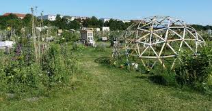 Stadtteilgarten At Tempelhofer Freiheit Berlijn