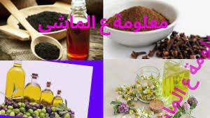 pin by aymansaed on الطب البديل plants