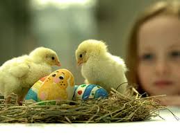 HD happy easter day eggs wallpapers