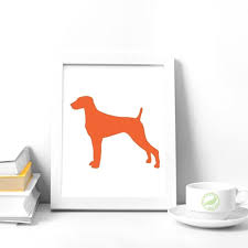 Maybe you would like to learn more about one of these? Vizsla Puppies Texas Price The Y Guide