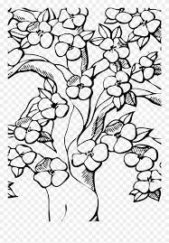 Original file at image/png format. Outline Cherry Blossom Tree Drawing Clipart 5694340 Pinclipart