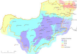 Image result for Ptycholobium plicatum