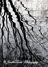 Reflection Rain Art Photography Wall Art Abstract Photography