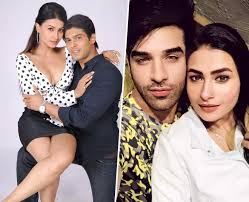 She was born into the singh family. Break Up With Paras Chhabra Link Up With Sidharth Shukla All You Need To Know About Pavitra Punia S Love Life