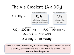 Image result for A-a Gradient