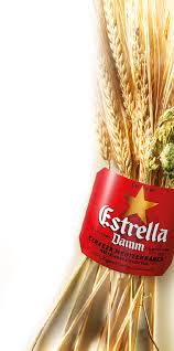 Download Hd Since Then Estrella Damm Has Been Brewed Using The Estrella Damm Transparent Png Image Nicepng Com You can download in.ai,.eps,.cdr,.svg,.png formats.
