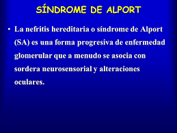 Maybe you would like to learn more about one of these? Entidades Glomerulares Que Cursan Predominantemente Con Hematuria Mesangial Iga Hematurias Familiares Sindrome De Alport Enfermedad Ppt Descargar