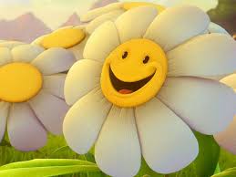 Find & download free graphic resources for 3d flower. Cute 3d Flowers Wallpapers Top Free Cute 3d Flowers Backgrounds Wallpaperaccess