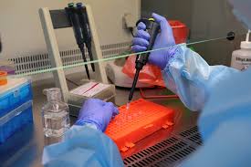 Метод получил широчайшее распространение в разных областях науки. Gde Sdelat Pcr Test Na Koronavirus V Harkove Obnovlennyj Perechen Laboratorij