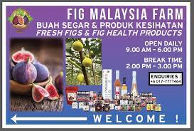 Here is it as well as other useful data about this kind of cryptocurrency. Fig Malaysia Home Facebook