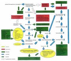Fibromyalgie blog met tips, ebooks, reviews, ervaringen en persoonlijke verhalen over een beter en prettiger leven met fibromyalgie en chronische pijn. Fibromyalgie