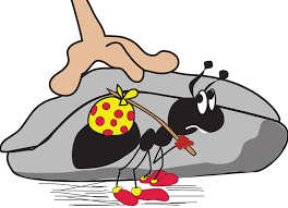 Ants are the most common household pest problem in most parts of the world. 15 Best Ways To Get Rid Of Ants In House Naturally