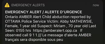 When children disappear, sometimes an amber alert is issued and sometimes it is not. Amber Spice Reddit Post And Comment Search Socialgrep