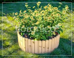 Check spelling or type a new query. Floranica Rollborder Flexible Wooden Fence 203 Cm Impregnated Pine Flower Bed Edging Lawn Edging Palisade Fencing For Orchards Flowerbeds Paths Floranica Webshop