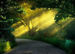 Follow The Light Nature Desktop Wallpaper Desktop Background Nature Background Images
