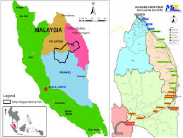 We did not find results for: The Politics Of Vexed Capital China S Railway Projects In Southeast Asia Panda Paw Dragon Claw