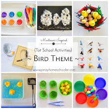 Bird Themed Activities For Preschoolers Bird Themed Activities For Toddlers Toddler Activities Theme Activity Montessori Toddler Activities