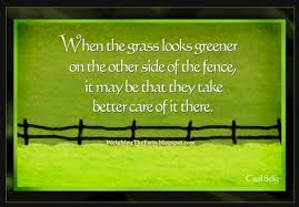 The Grass Is Always Greener On The Other Side Of The Fence Meaning The Grass Is Greener Recovery Quotes Quote Of The Week Positive Inspiration