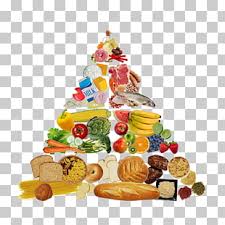 435 Food Pyramid Png Cliparts For Free Download Uihere