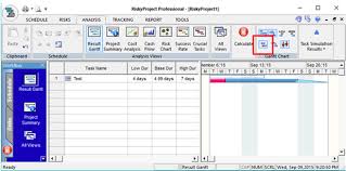 Showing Complete On Gantt Chart Project Risk Analysis