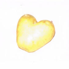 Image result for Pastel French Vanilla 1984 Tempo