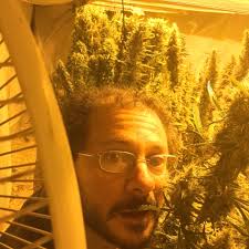 Canning beans with fatback instructions?