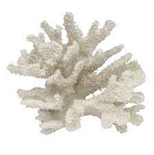 Realistic White Coral Decoration Themed Party Decor For Dinner Cocktail Events Coral Decor Coral Centerpieces White Coral