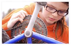 Waldorf Celebrates Annual Benefactors Reception