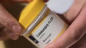 Cannabis Auf Rezept So Wirksam Ist Cannabis Wirklich
