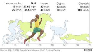 27 miles per hour (43km\h) during the 2009 world championships in berlin. Usain Bolt Eight Time Olympic Champion S Career In 9 58 Charts Bbc Sport