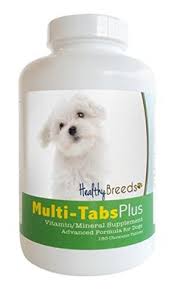 Many people take dietary supplements or vitamins. 270 Dogs Vitamins Ideas Dog Vitamin Dog Supplements Vitamins