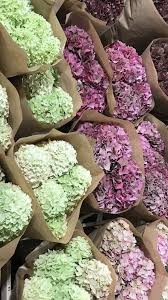 Maybe you would like to learn more about one of these? Cheap Funeral Flowers Near Me