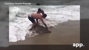 Shark attack survivor turns trauma into activism. How Many Shark Attacks Were There Last Year