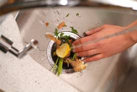 eco friendly answer to food waste