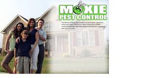Our experienced technicians are trained to locate your pest problem, develop a plan, and then apply treatment to control or eliminate insects and. Moxie Pest Control Kansas City Home Facebook