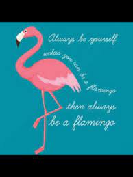 New users enjoy 60% off. Flamingo Quote Saying Always Be Yourself Unless You Can Be A Flamingo Then Always Be A Flamingo Flamingo Flamingos Quote Fancy Flamingo