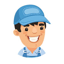 Olympia bird removal and bird control is a needed service throughout the entire area of olympia and tacoma washington. Bed Bug Treatment Olympia Wa 100 Guaranteed Bed Bug Treatment