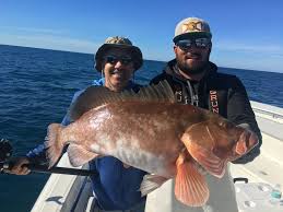 Pete beach speed boats tours in st. Pin On Orlando Fishing Charters