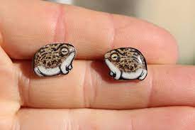 Desert Rain Frog Earrings Gift For Frog Lovers Cute Animal Etsy In 2020 Cute Jewelry Cute Pins Fashion