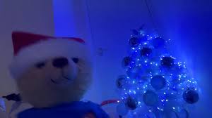 🎶 “Last Christmas I gave you my heart, but the beary next day, you gave it  away. This year to save me from tears, I’ll give to Peggy who’s special.”  🎶🎅🎄