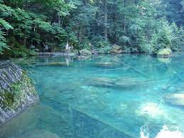 Flathead Lake Clearest Lake In The World Montana By Satan 39 S Little Girl Whi Montana Vacation Places To Travel Montana Travel