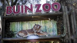 Buin zoo es un zoológico, ubicado en la comuna de buin, región metropolitana de chile. Buin Zoo Vuelve A Abrir Sus Puertas Despues De Mas De Seis Meses Es Casi Una Reinauguracion Meganoticias