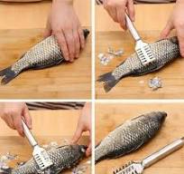 Scraping Fishing Scale Fish Skin Brush Grater Remover Peeler Scaler  Scraper-Tool