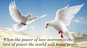 Pigeons touch our lives in many ways and humans have some interesting, bizarre, and even provocative thoughts bout these birds. Quotes About Doves And Peace Peace Quotes Animal Spirit Guides White Pigeon Dove Bird Dogtrainingobedienceschool Com
