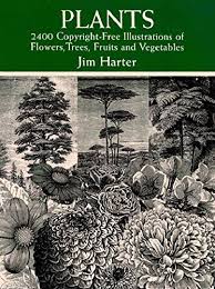 We did not find results for: Plants 2 400 Royalty Free Illustrations Of Flowers Trees Fruits And Vegetables Dover Pictorial Archive English Edition Ebook Harter Jim Amazon De Kindle Shop