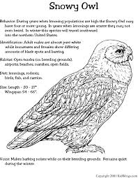 Snowy Owl Owl Coloring Pages Owl Crafts Preschool Snowy Owl